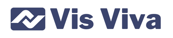 Vis Viva Electronics 
